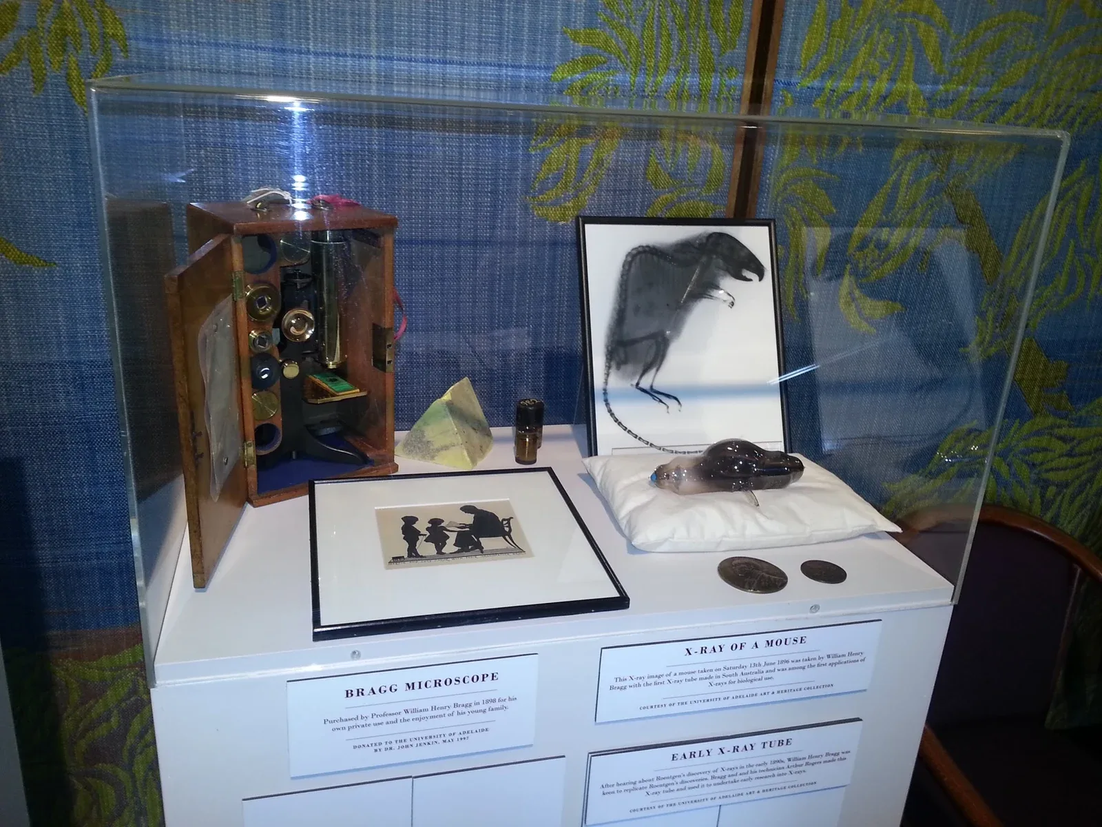 William Henry Bragg's microscope, the X-ray tube he made with Arthur Rogers, and his 1896 X-ray of a mouse, Adelaide, December 2012